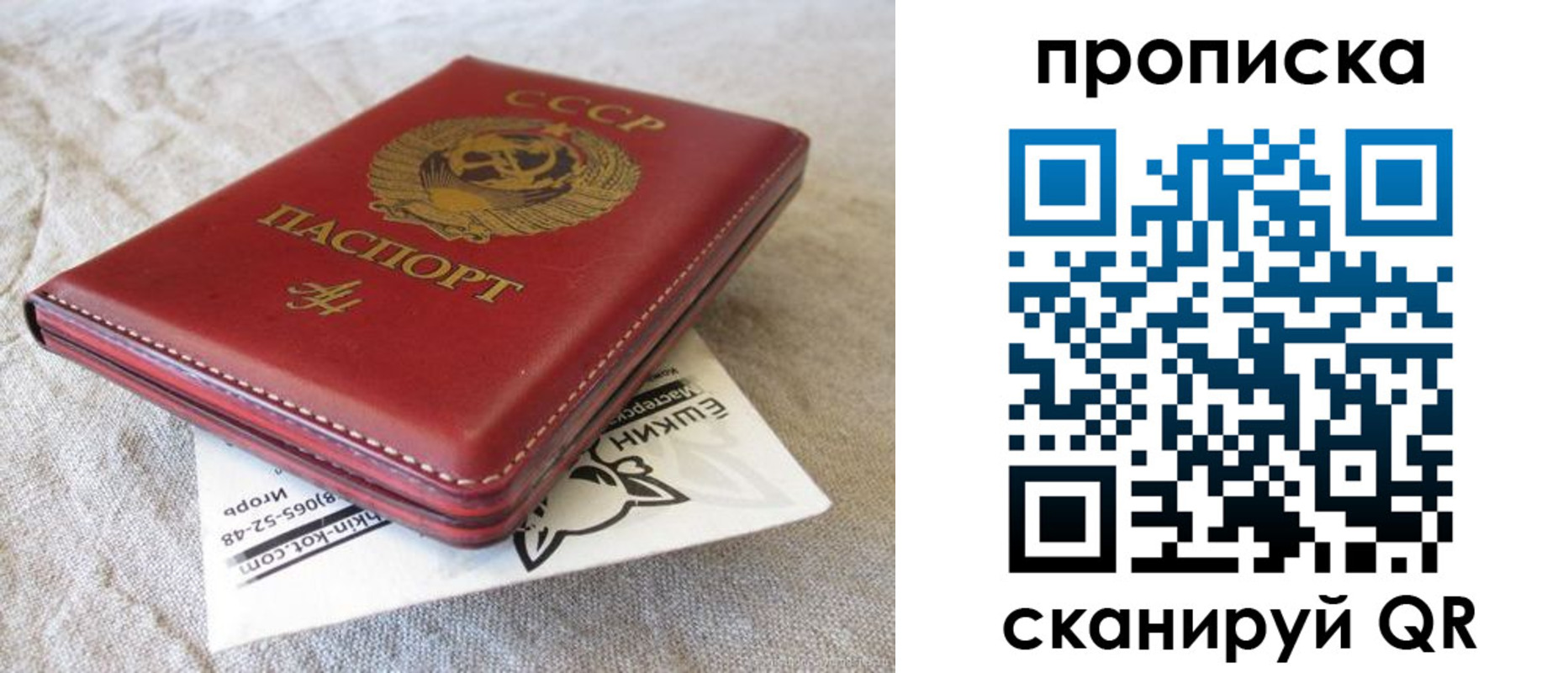 прописка для школы в Снежногорске