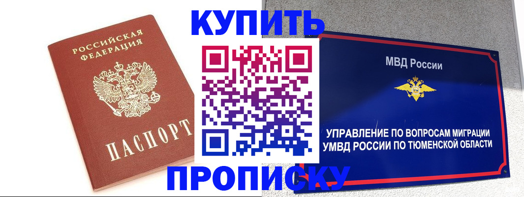 прописка поиск в Снежногорске